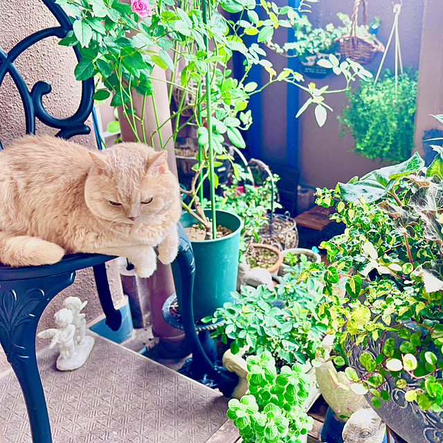 naokoさんの部屋