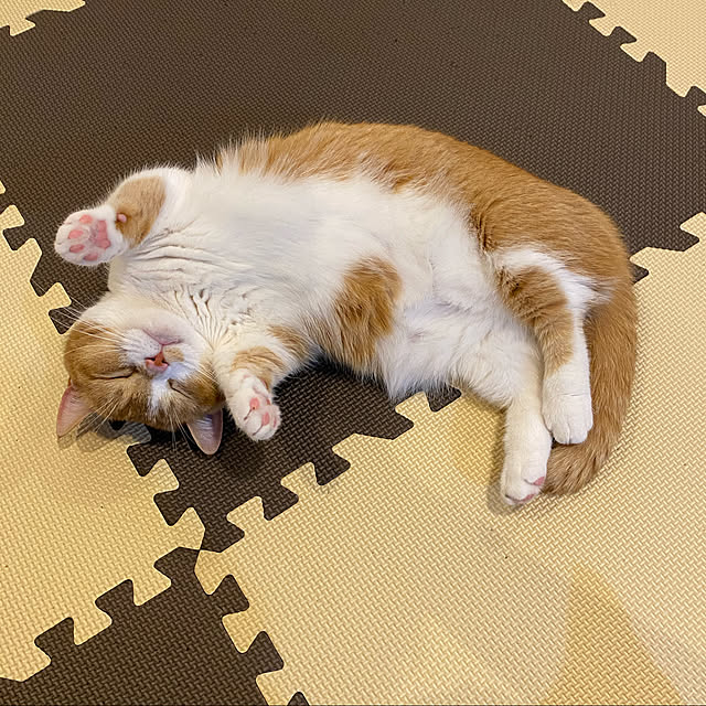 KotarouKunさんの実例写真
