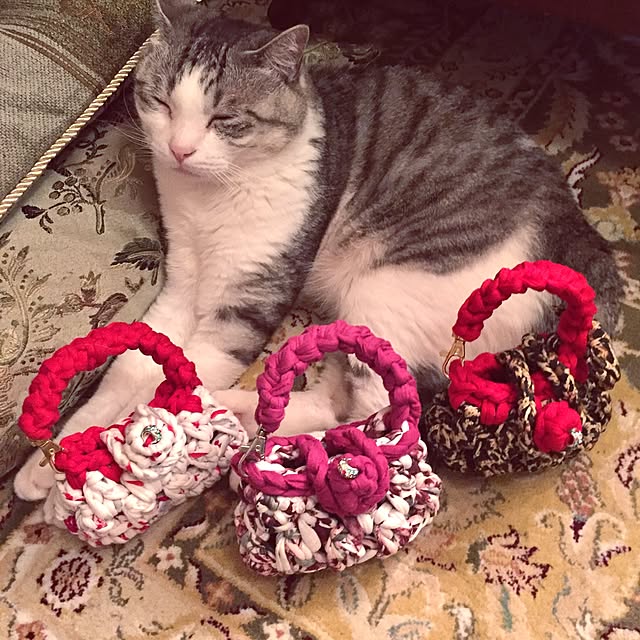 emmyyさんの実例写真