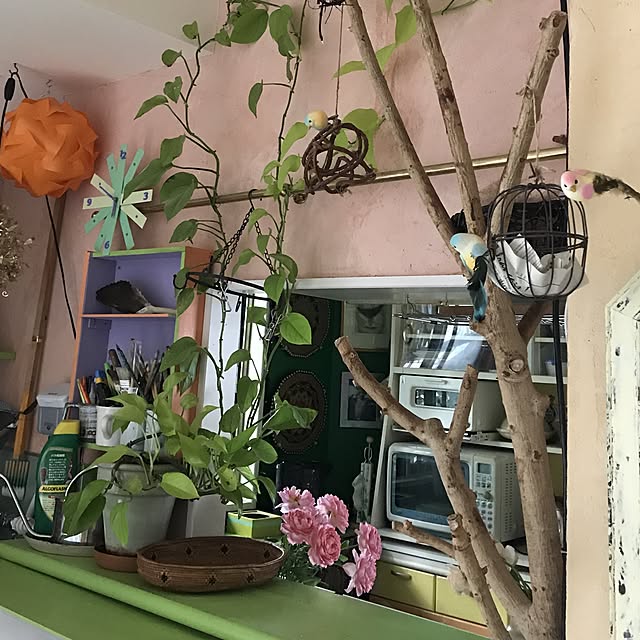 kimishigureさんの実例写真