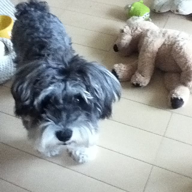 charlielikeさんの実例写真