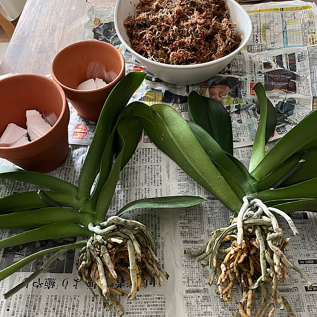 makigonさんの部屋