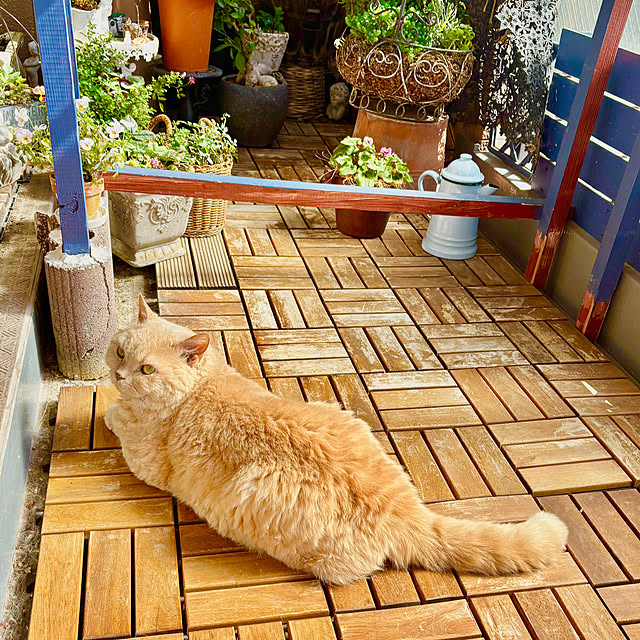 naokoさんの部屋