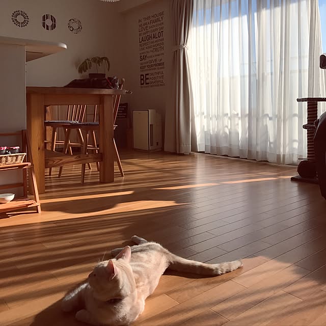 hiyupan88さんの実例写真