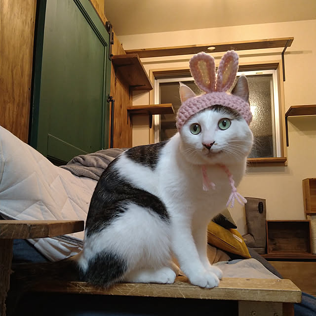 mikisunさんの実例写真