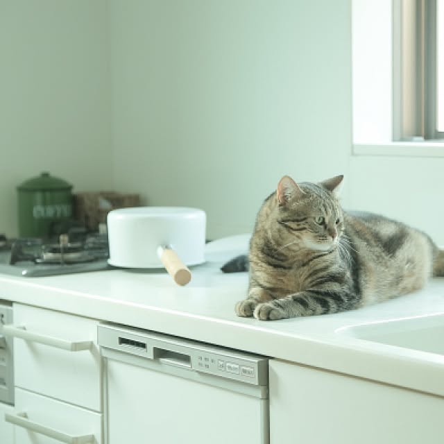 haruhouseさんの実例写真