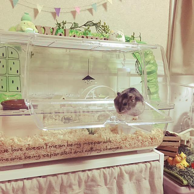 Kasumiさんの実例写真