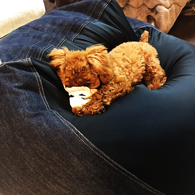 Mayuさんの実例写真