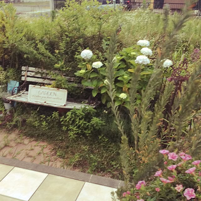 Conteさんの実例写真