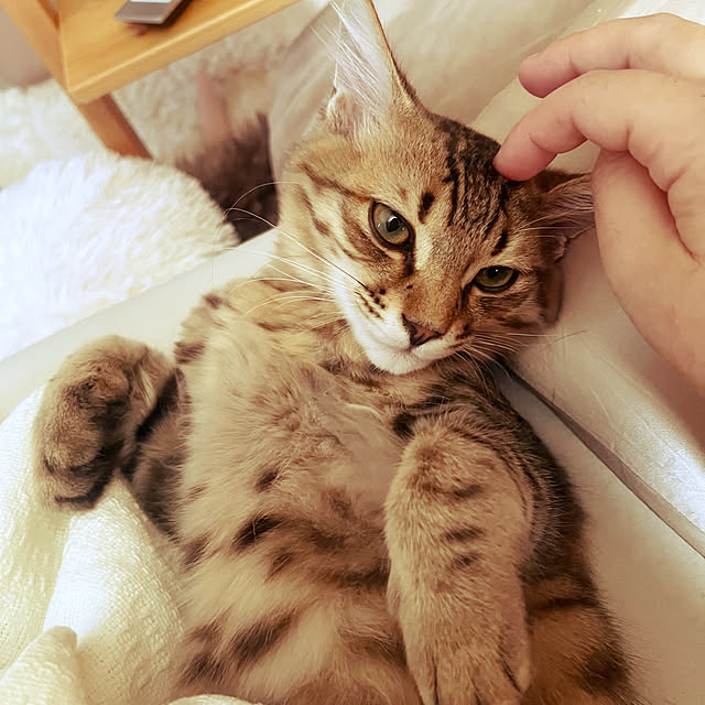 Mさんの部屋