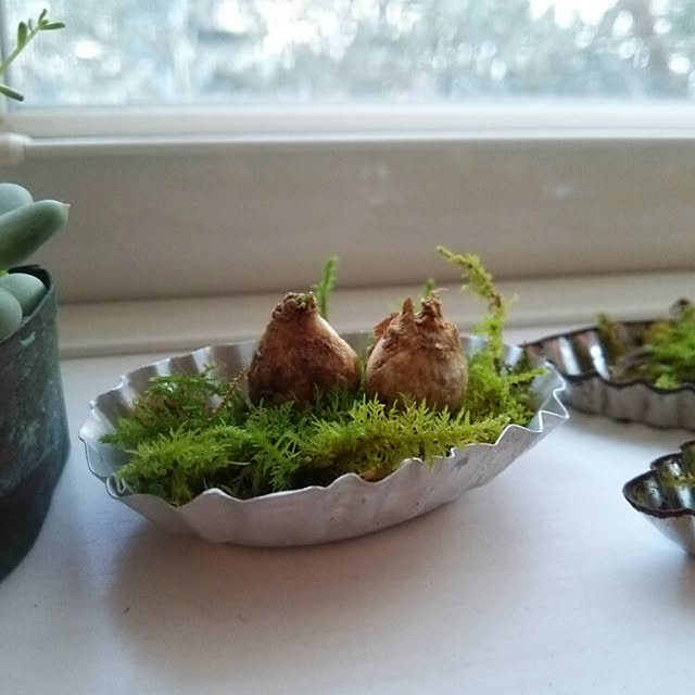 kokkomachaさんの実例写真