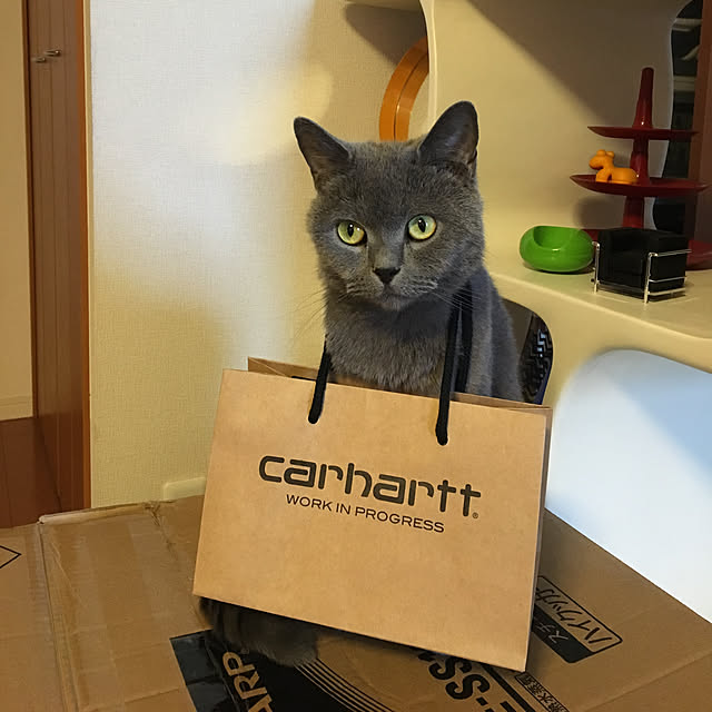 ikettenさんの実例写真