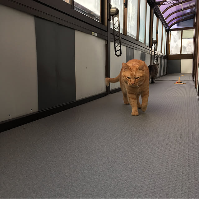 ytmさんの実例写真