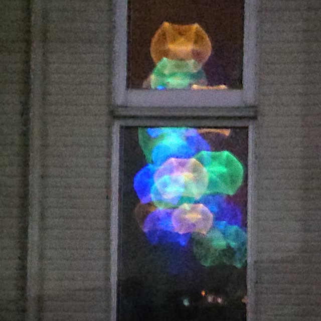 yuuuuさんの部屋