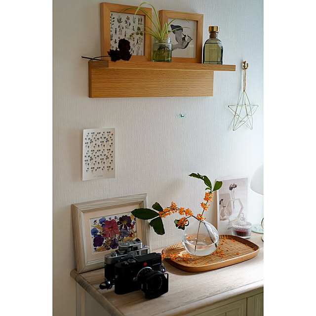 haruisabelさんの部屋