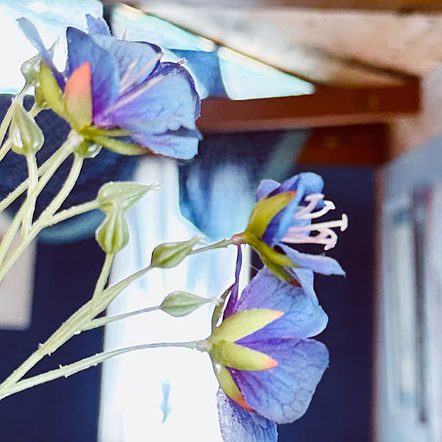 chacoさんの実例写真