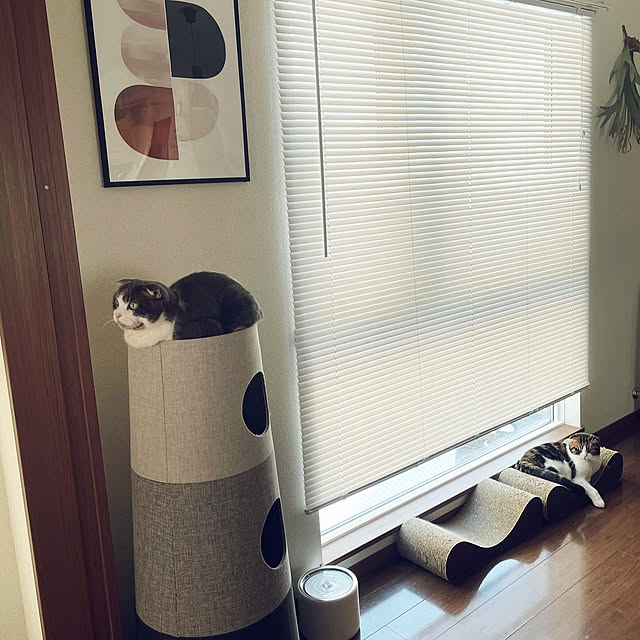 tansukeさんの実例写真