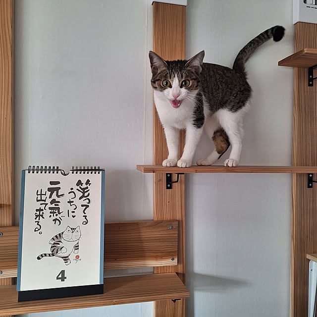 akimameさんの部屋
