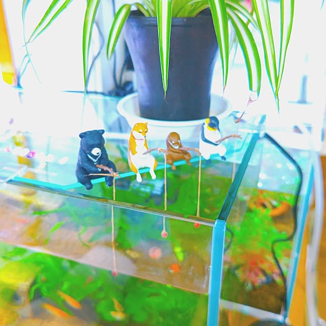 mariaさんの実例写真