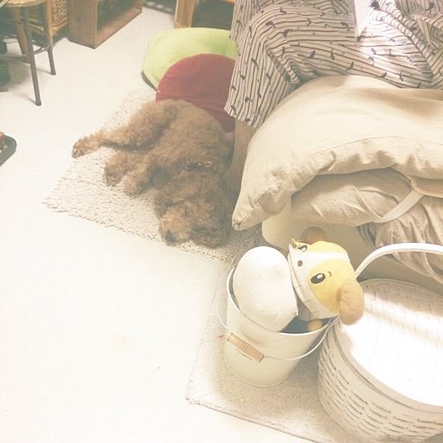 eerinaaさんの実例写真