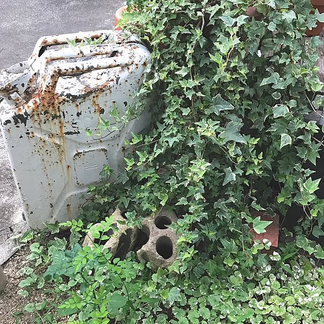 bibianさんの実例写真