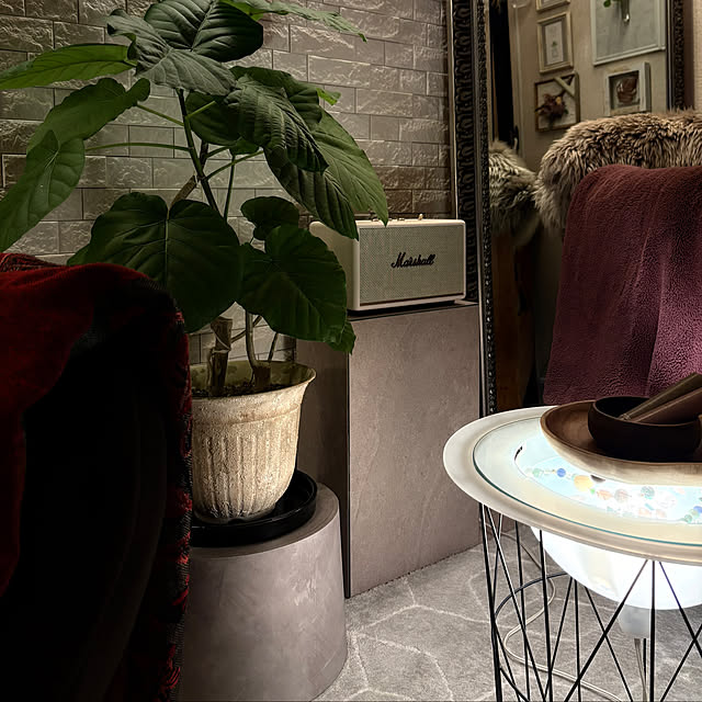 momo_sanさんの部屋