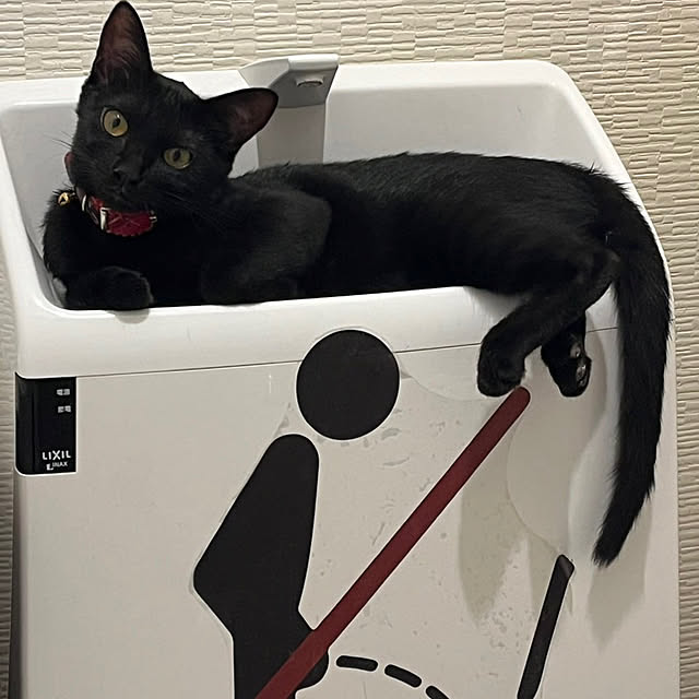 バス/トイレのインテリア実例 - 2024-08-18 01:26:39