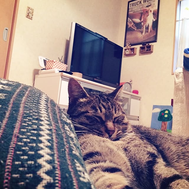 panchanさんの実例写真