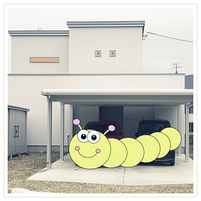 実例写真