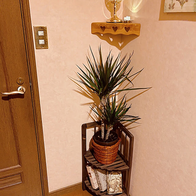 mi-hayaさんの実例写真