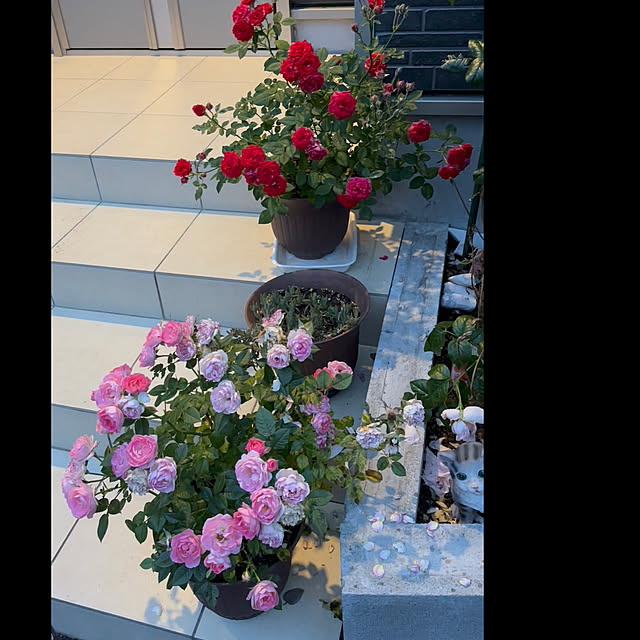 Hさんの部屋