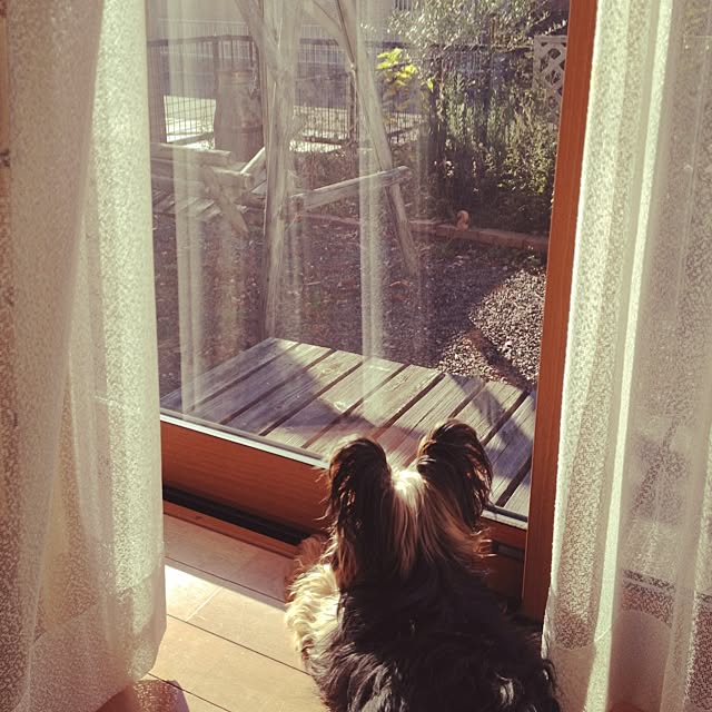 mayuoさんの実例写真