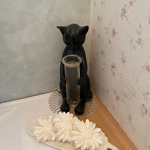 sukkorobiさんの部屋