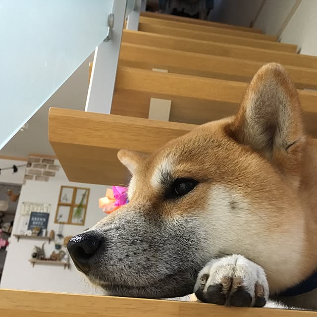 kotaさんの実例写真