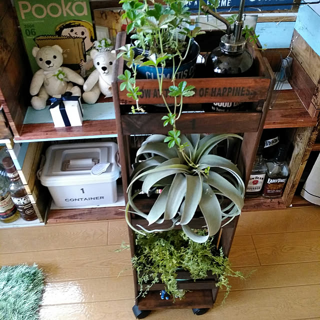 storipeさんの実例写真