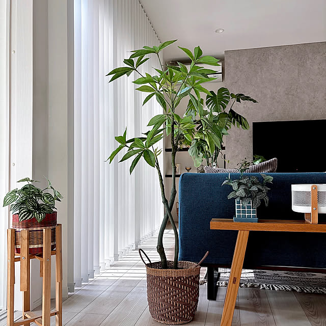 Miiさんの実例写真