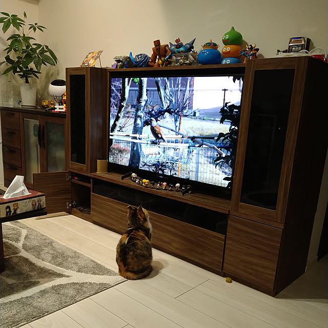 azumonaさんの実例写真