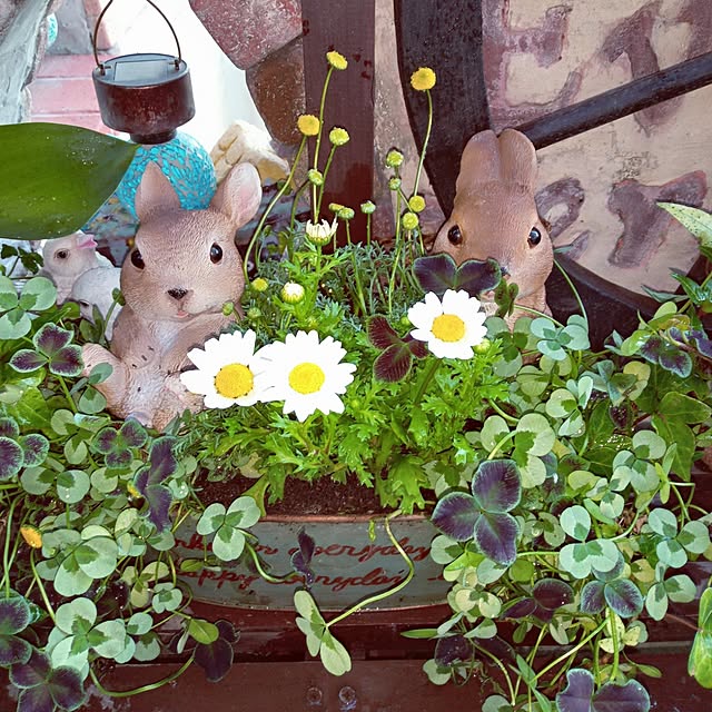 mocomocoさんの部屋