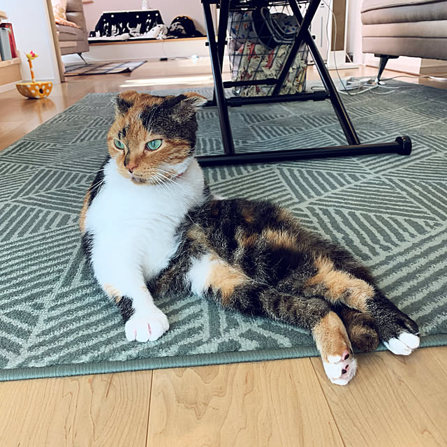 mamekinaさんの実例写真