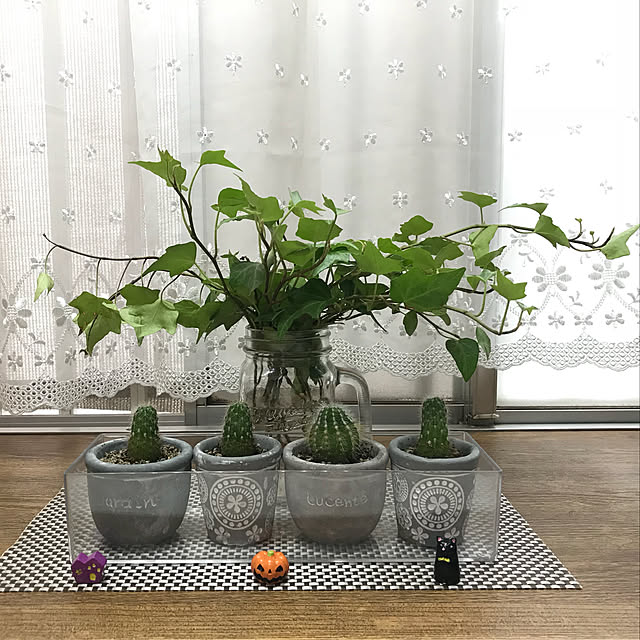 Kyocorinさんの実例写真