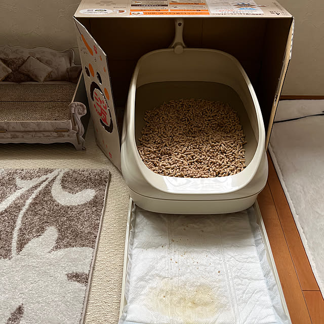 reonさんの部屋