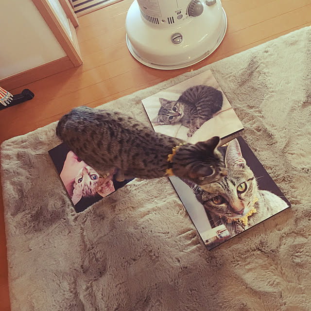 Mさんの実例写真