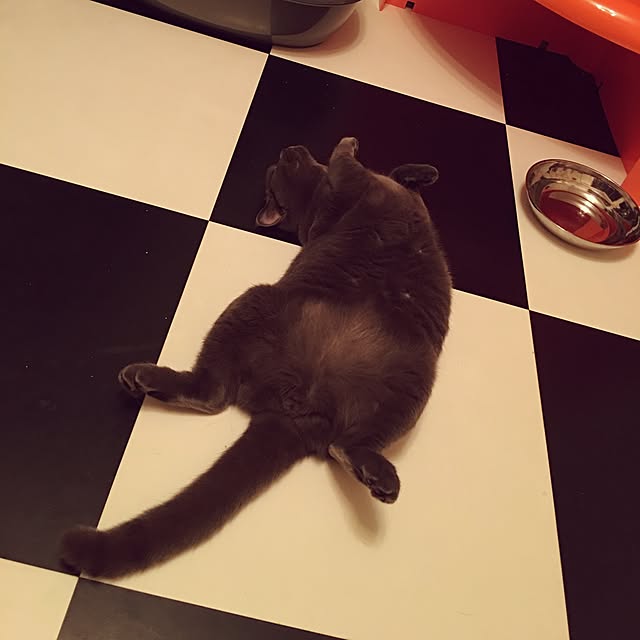 Shojiさんの実例写真