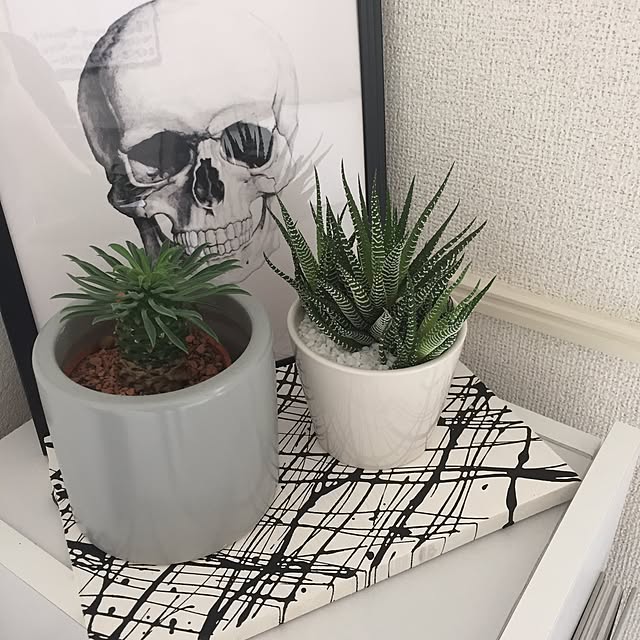 kinaさんの実例写真