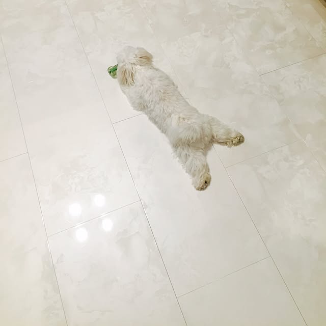 relaxsunさんの実例写真