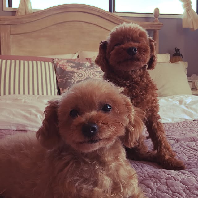 maki_poohさんの実例写真