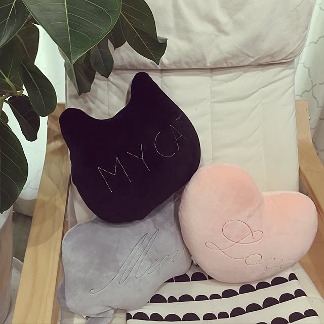 meguchiyoさんの実例写真