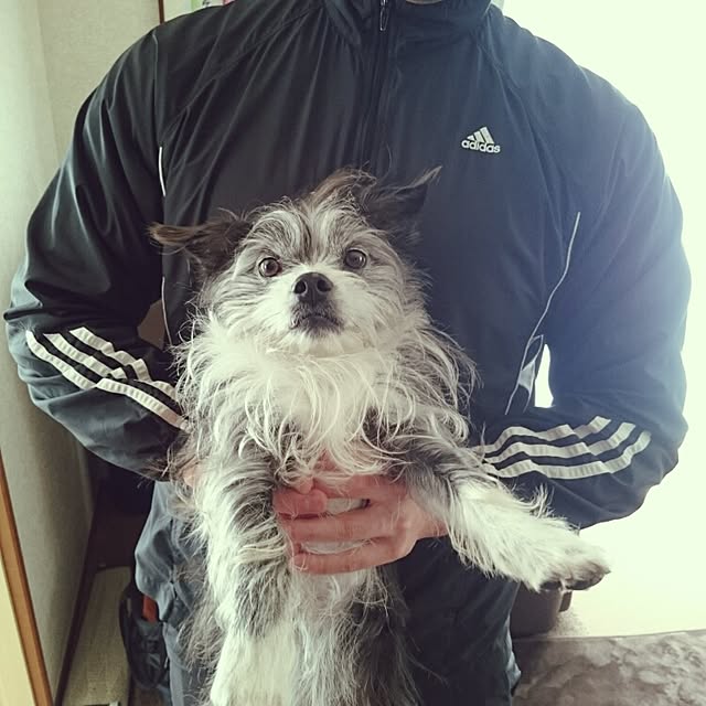 kosame918さんの実例写真