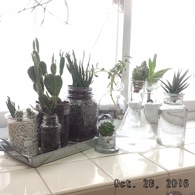 natulove0418さんの実例写真