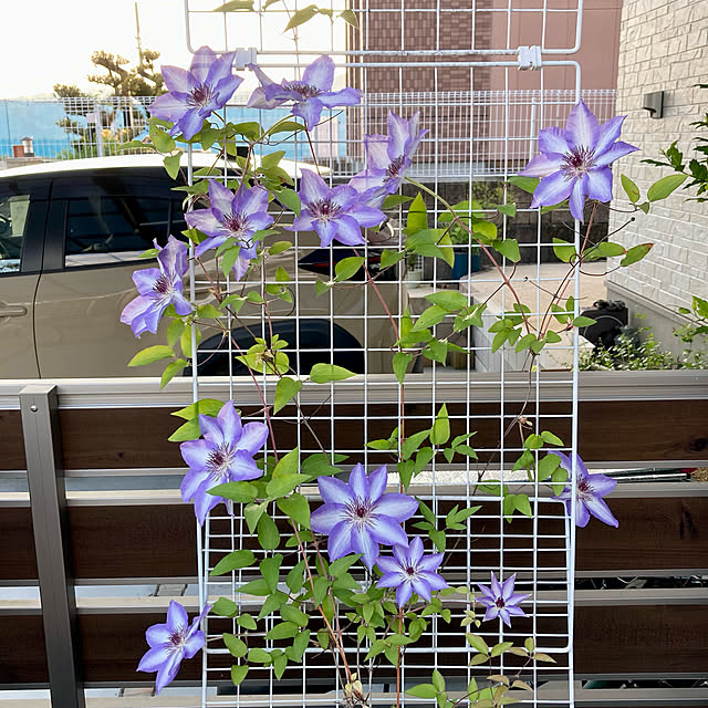 ayayayayaさんの部屋